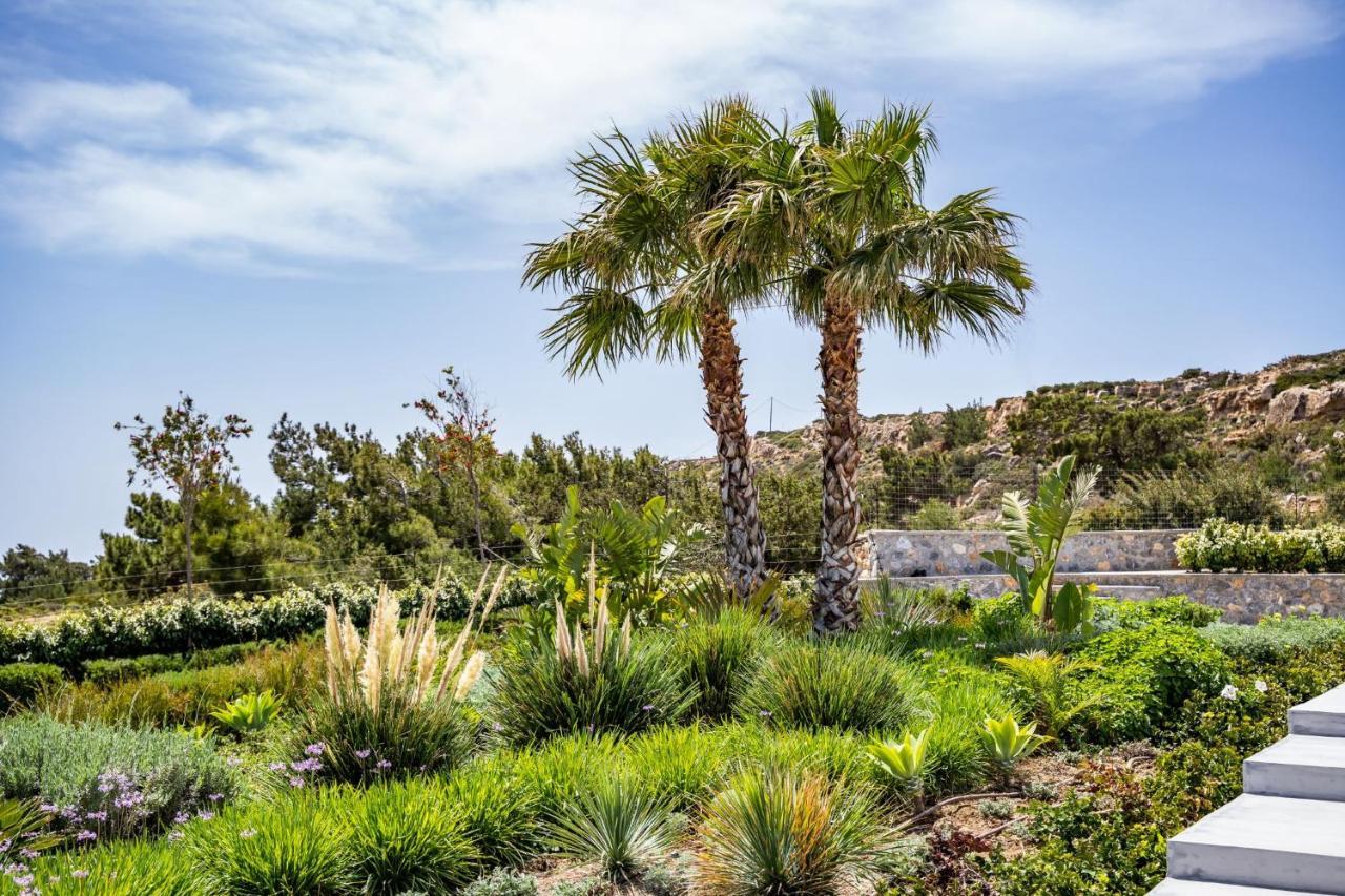 Istia Luxury Villas Karpathos Ngoại thất bức ảnh