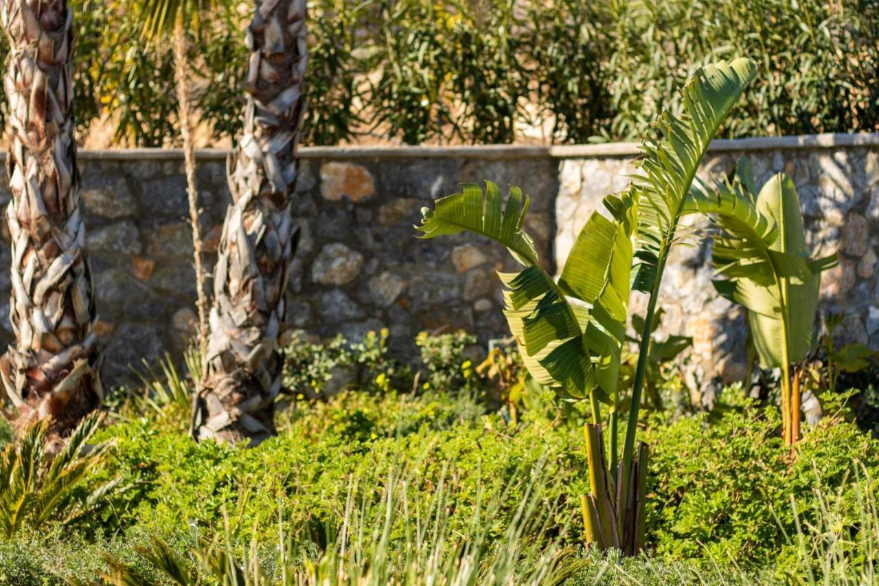 Istia Luxury Villas Karpathos Ngoại thất bức ảnh