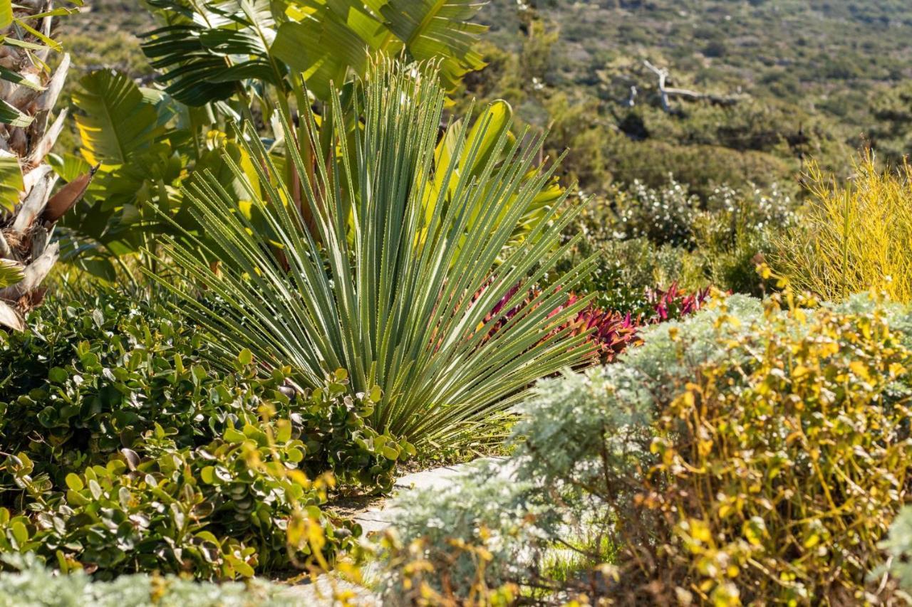 Istia Luxury Villas Karpathos Ngoại thất bức ảnh